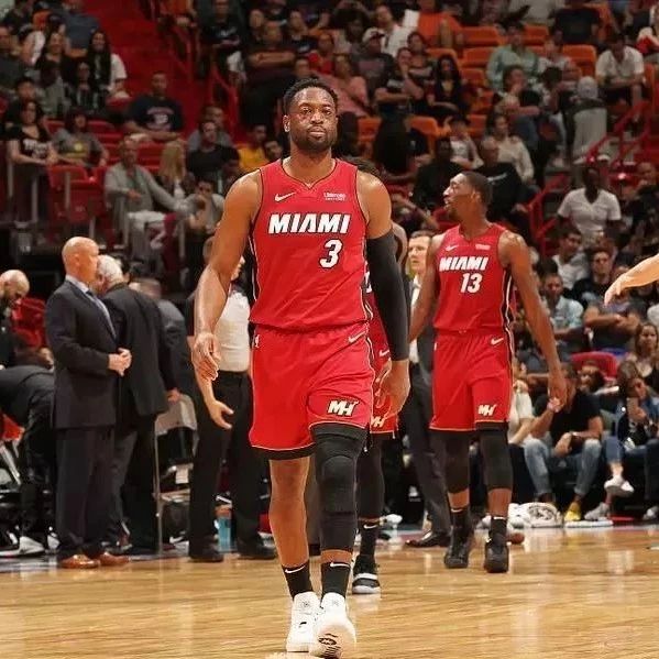 三鹰哥冬季游泳